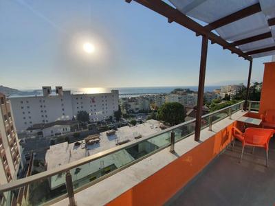 Dolly Apartments