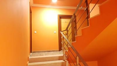 Dolly Apartments