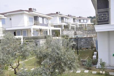 Villa Olive Garden