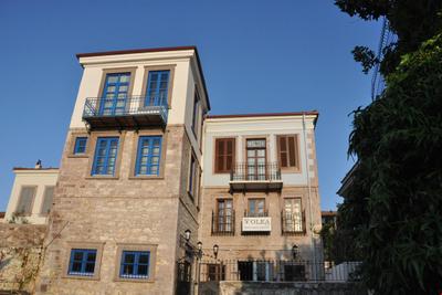 Olea Leya