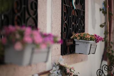 Ayvalık Palacitta Guesthouse
