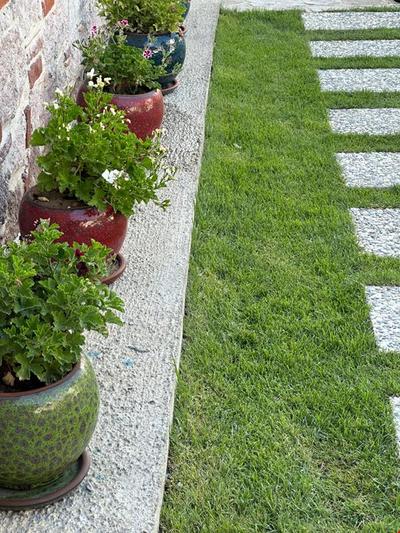 Şirin Garden Ayvalik