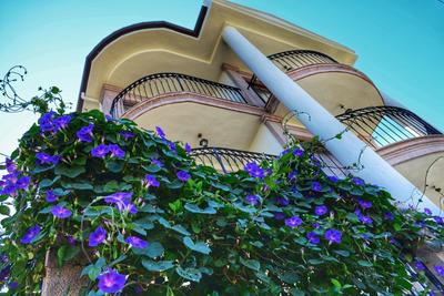 Stone Hill Otel