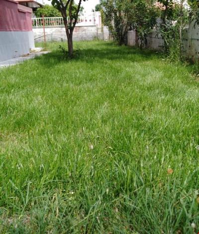 Bir Apart