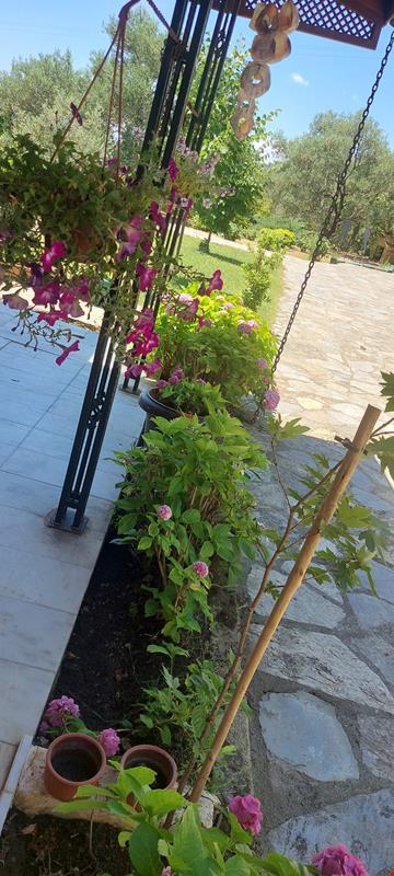 Malikane Resort