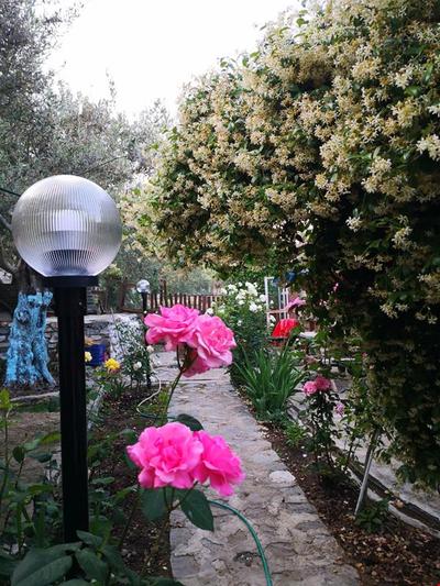 Zeytin Dagi Bungalow