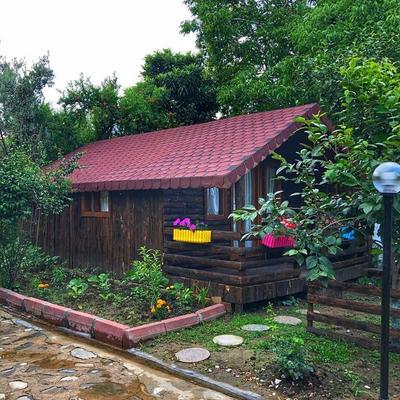 Zeytin Dagi Bungalow