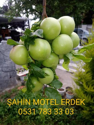 Erdek Şahin Motel