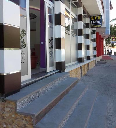 Bingöl Otel Efe