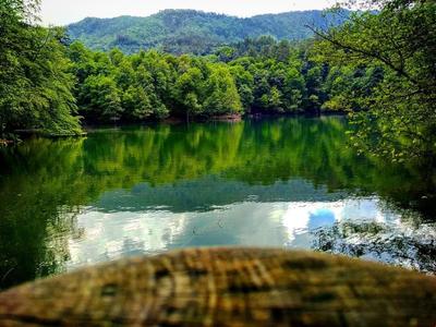 Habitat Mesire Evleri Yedi Göller Milli Parki