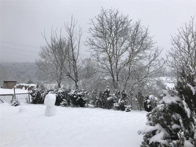 Araz Çiftliği Villa