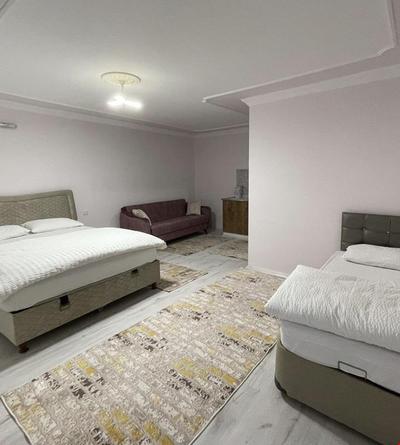 Altıntaş Apart