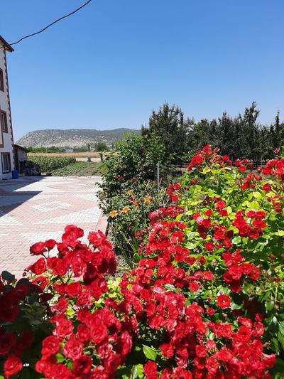 Salda Apart Pansiyon