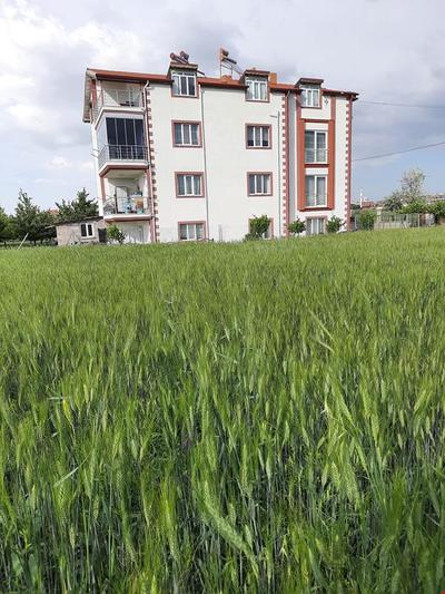 Salda Apart Pansiyon