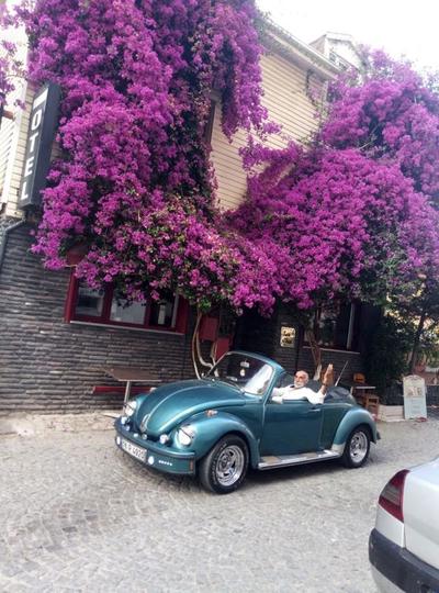 Begonvil Butik Otel Mudanya