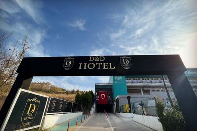 D&D Hotel