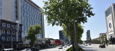 Elmas Hotel