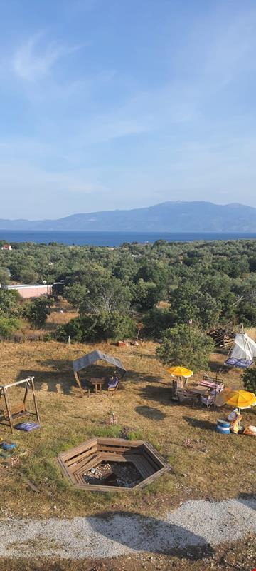 Mavi Kuş