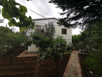 Assos Livza Butik & Apart Otel