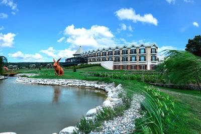 Hotel Caeli