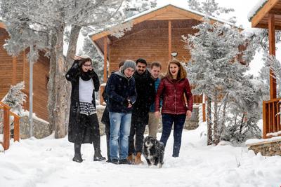 Bağbaşı Yaylası Bungalov Evleri