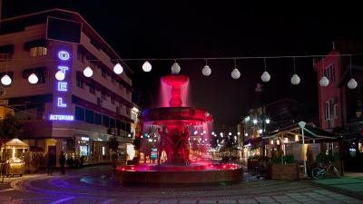 Hotel Altunhan