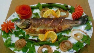Kit-Tur Otel