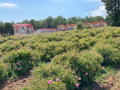 La Vie En Rose Otel