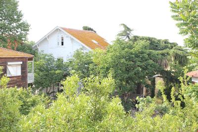 Ada Antik Otel