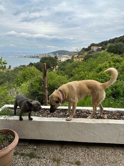 Manzara Ada Tepe