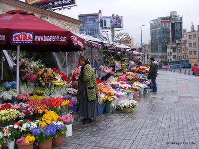 Taksim Lion 37 Studios