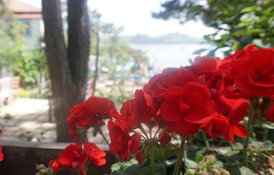 Pyrgos Otel Burgazada