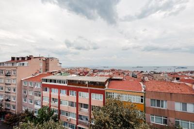 Rosehip | Fatih