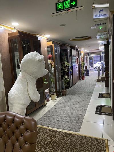 Diva Hotel