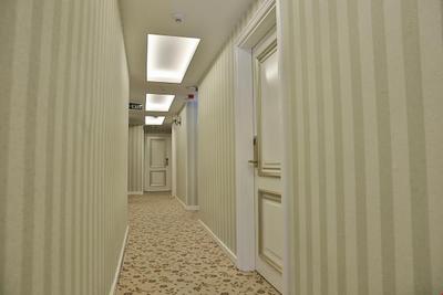 Hotel Queens Land