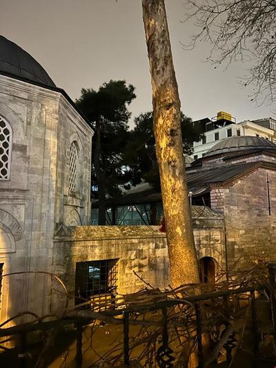 Vatan House