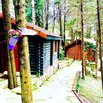 Ağva Orman Evleri Forest Lodge