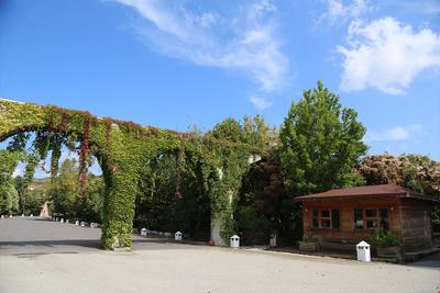Doğa Tatil Köyü