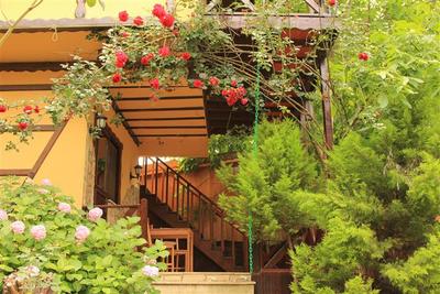 Casa de El Rio