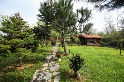 Tartaruga Boutique Hotel & Bungalows