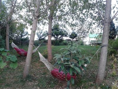 Tartaruga Boutique Hotel & Bungalows