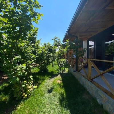 Tiny River House Ağva