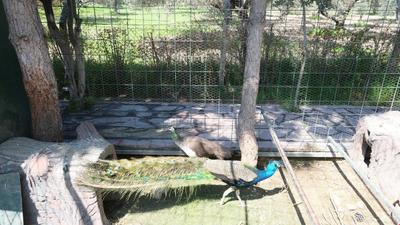 Dream Farm Resort