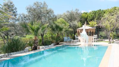 Dream Farm Resort