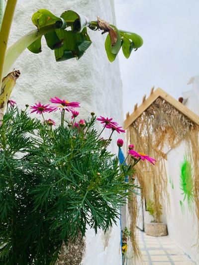 Badehan Guest House