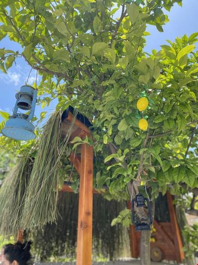Cielo Limon Butik Otel