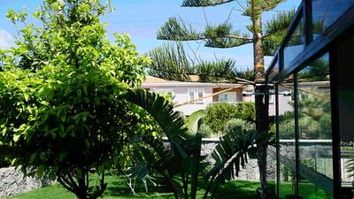 Dalyan Risus Suite