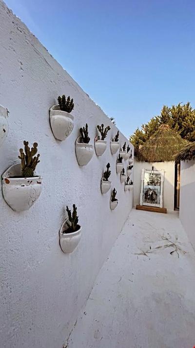Hacımemiş Alaçatı Köyiçi