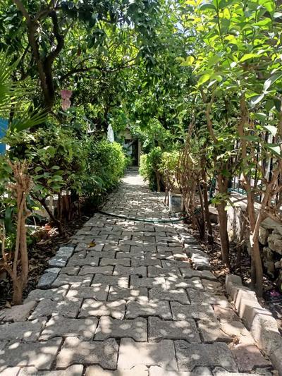 Sweet İstanbul