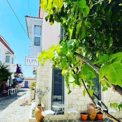 Lupa Alacati